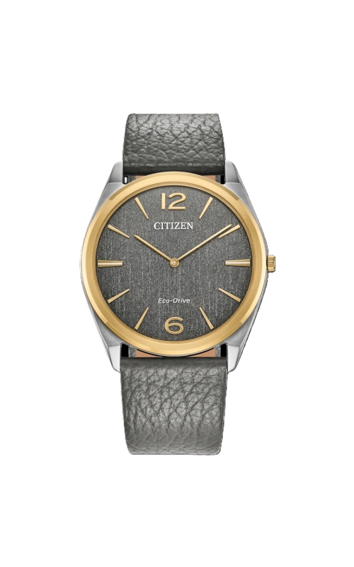 Citizen Suratto