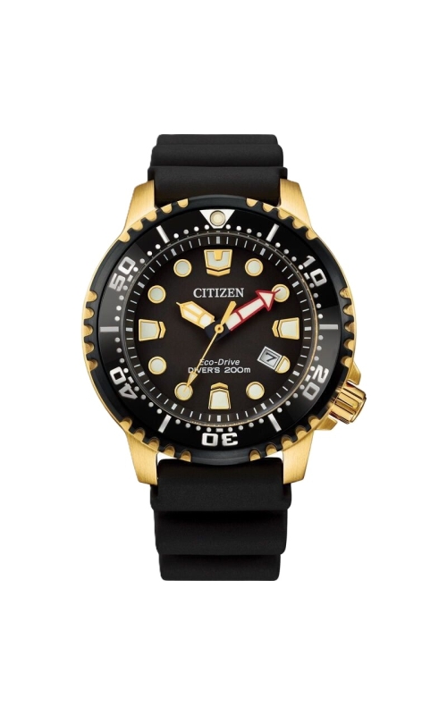Citizen Promaster Dive