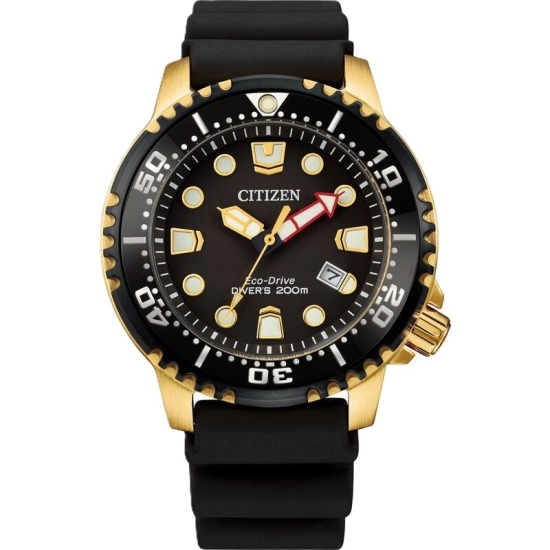 Citizen Promaster Dive